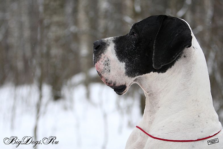 День рождение сценарий на 11 лет День рождение сценарий на 11 лет